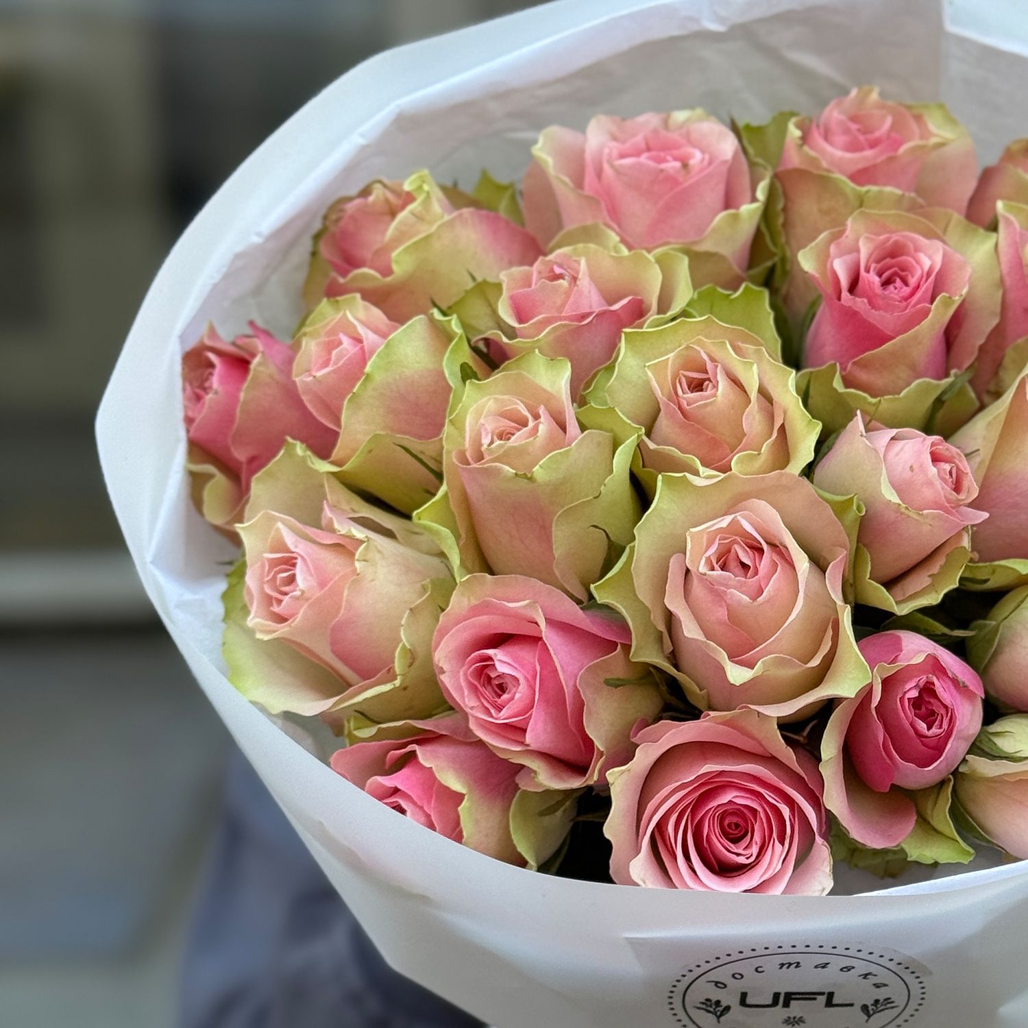 Bouquet 25 pink roses Kenia