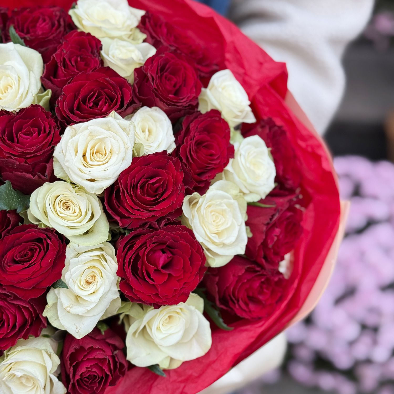 Bouquet 51 red and white roses Kenia