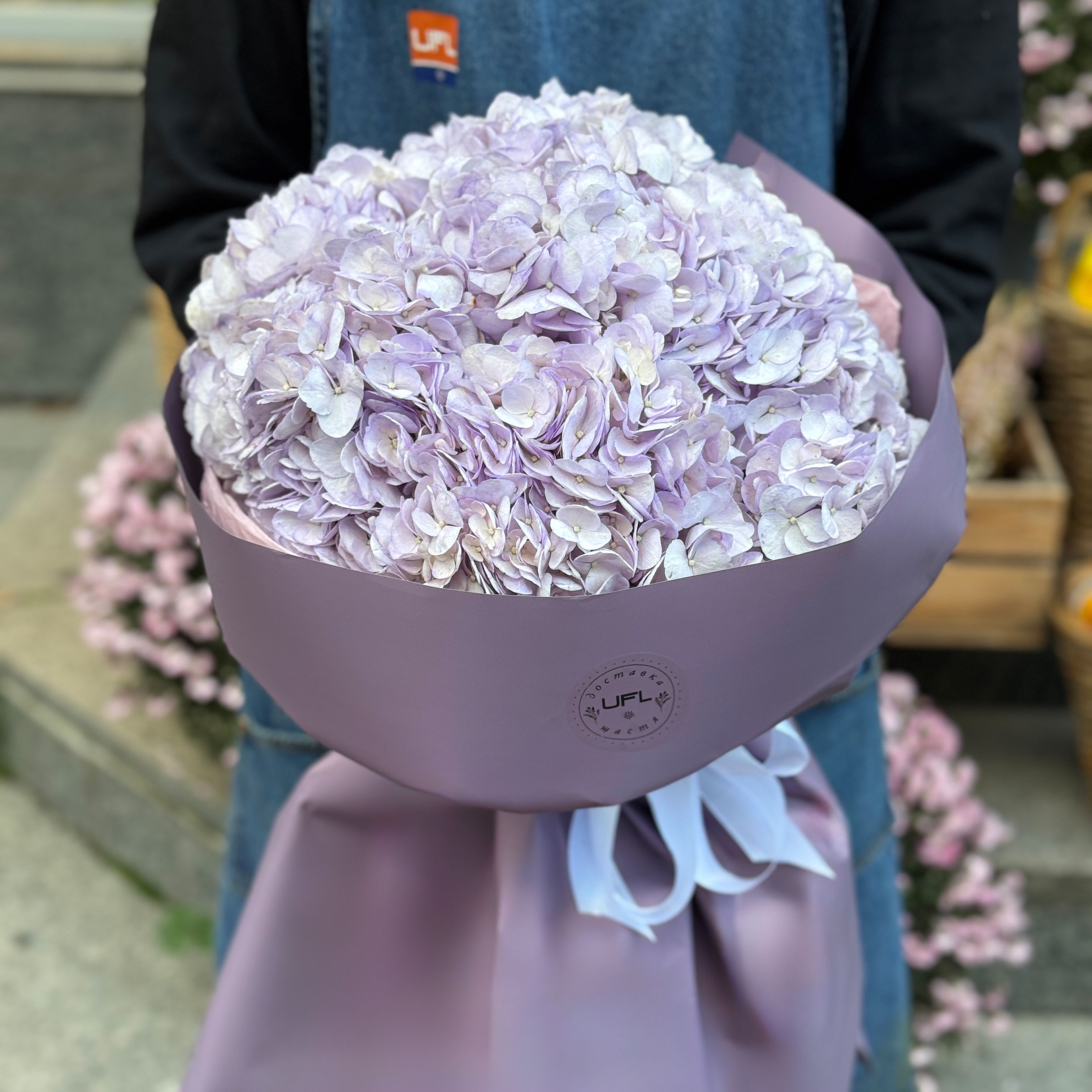 Bouquet Bouquet of purple hydrangeas