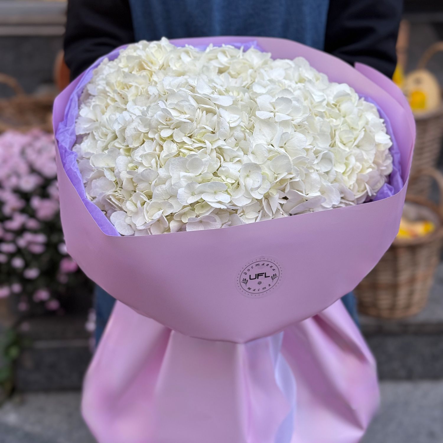 Bouquet Bouquet of white hydrangeas