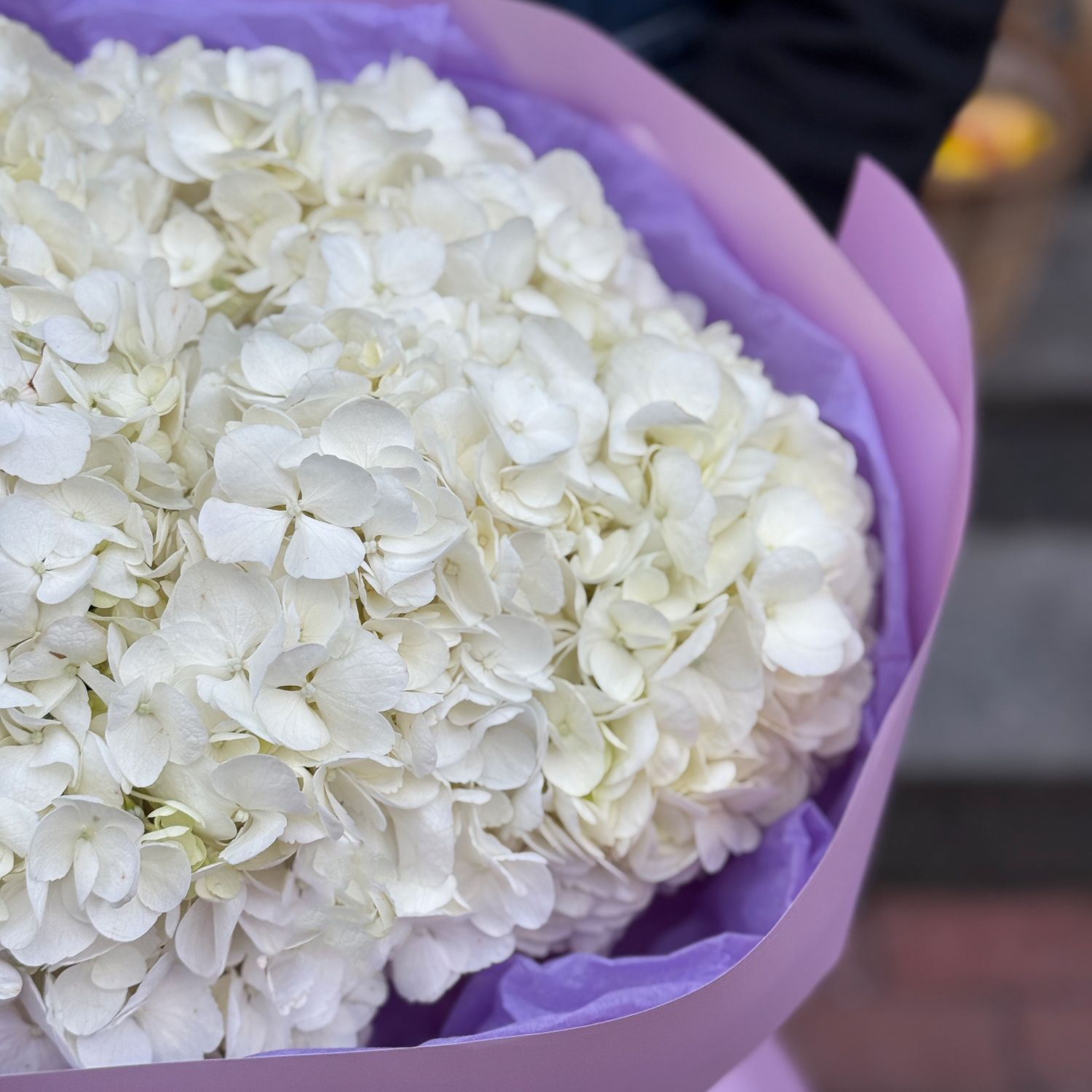 Bouquet Bouquet of white hydrangeas