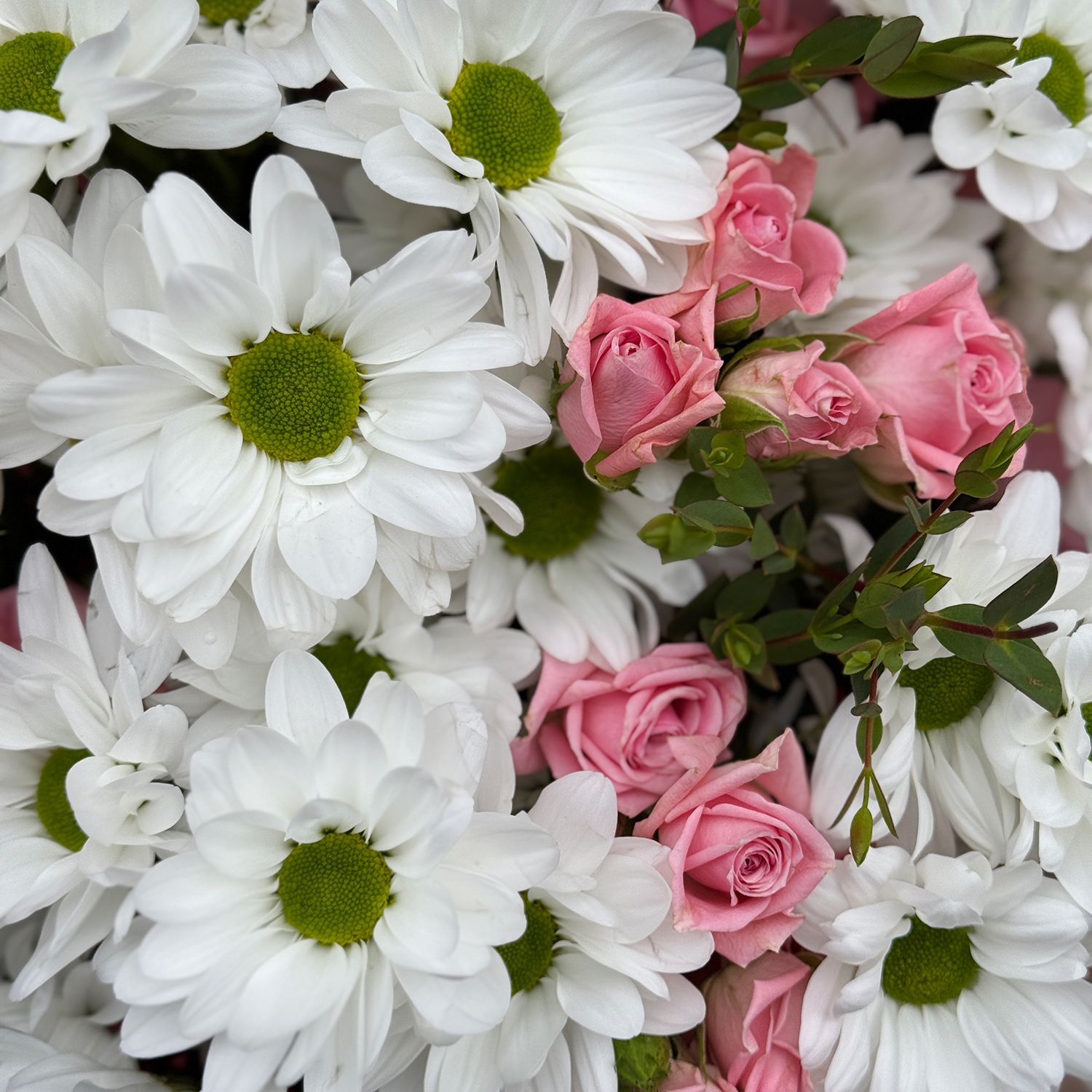 Bouquet Tender morning