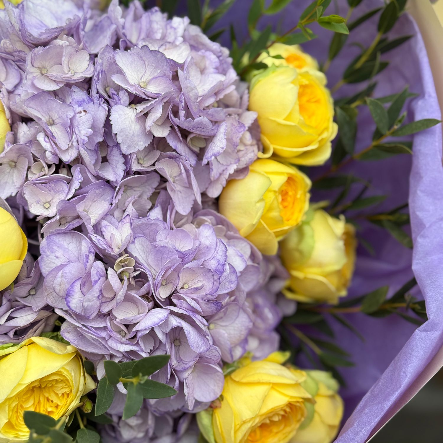 Bouquet Lavender morning