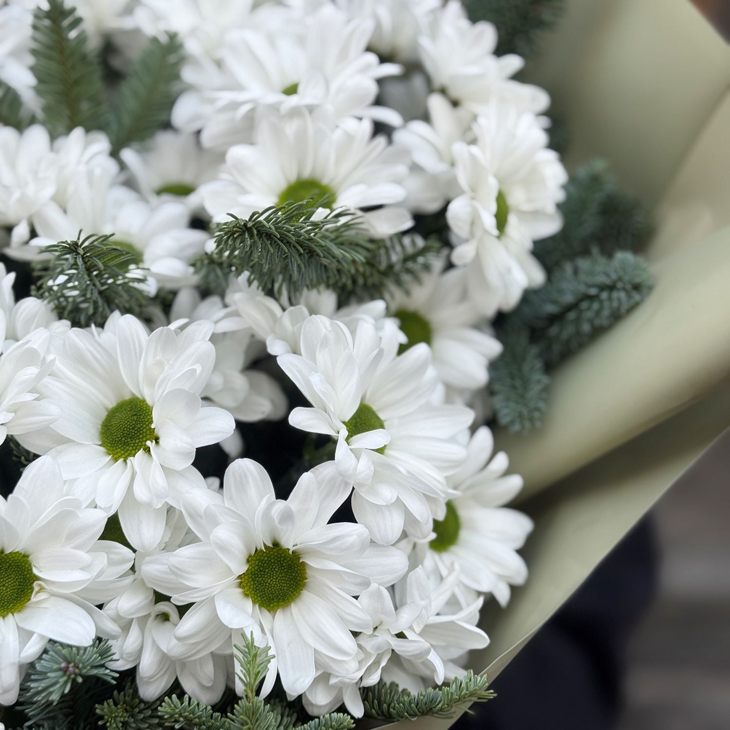 Bouquet Winter breath