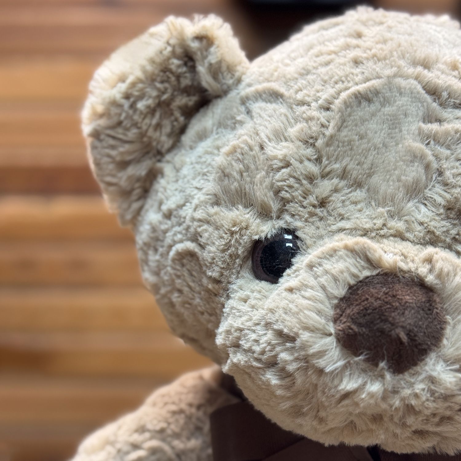 Product Teddy coffee with emblem 50 cm