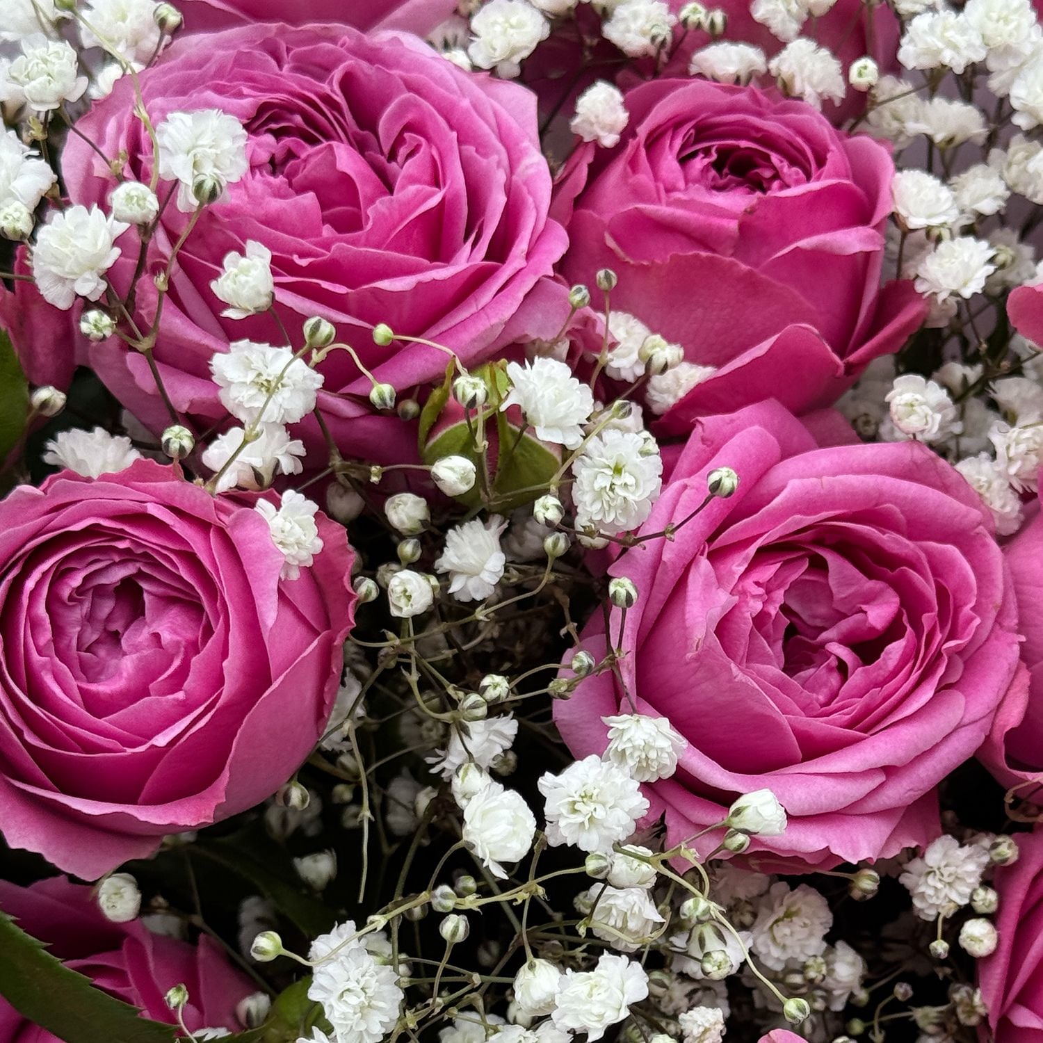 Bouquet Bouquet Pink wonder