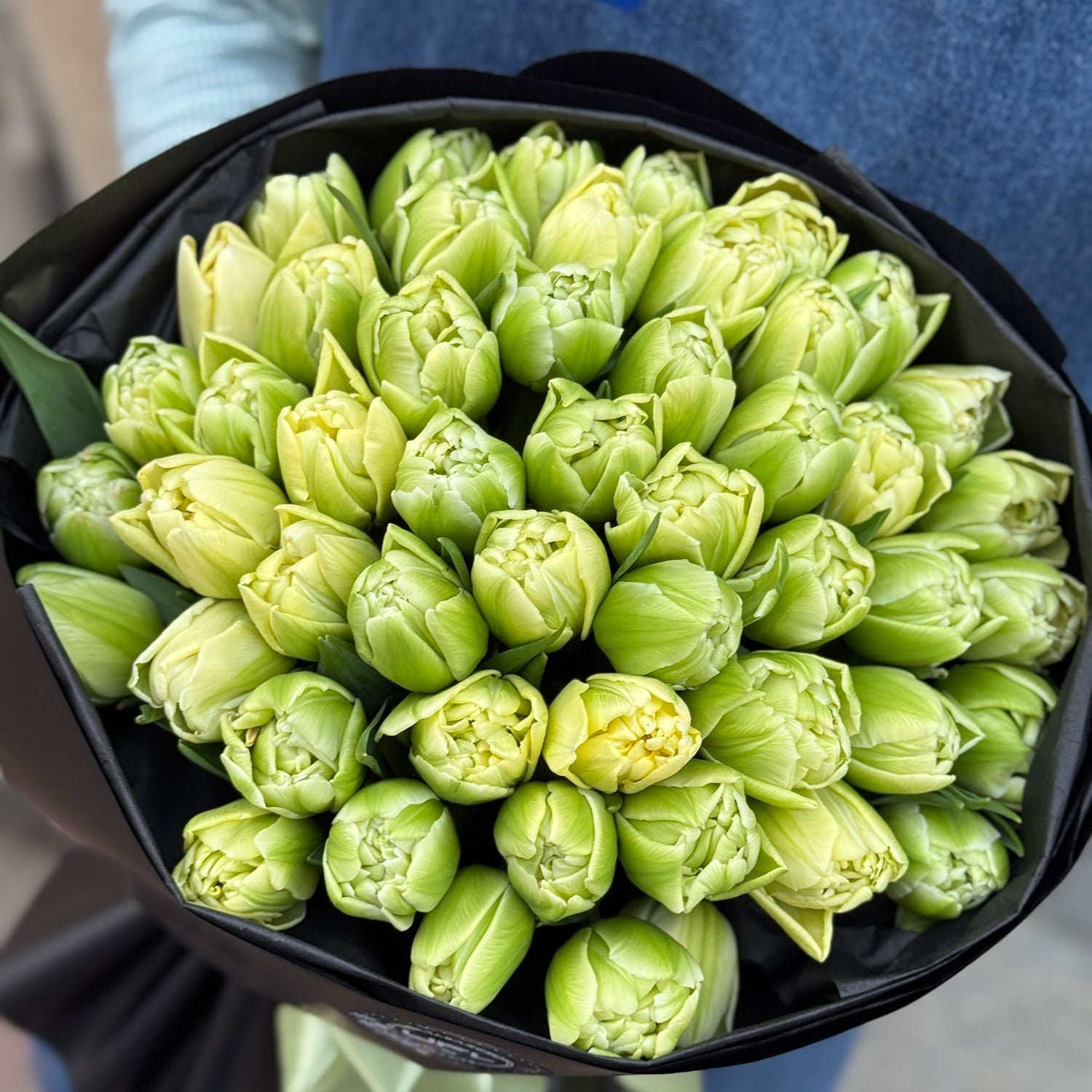 Bouquet 51 tulips Verona