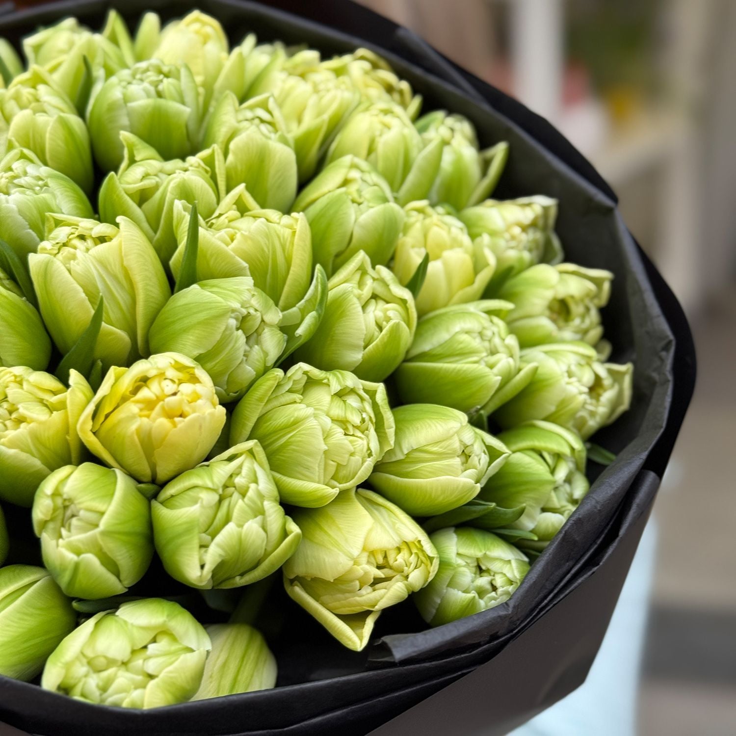 Bouquet 51 tulips Verona