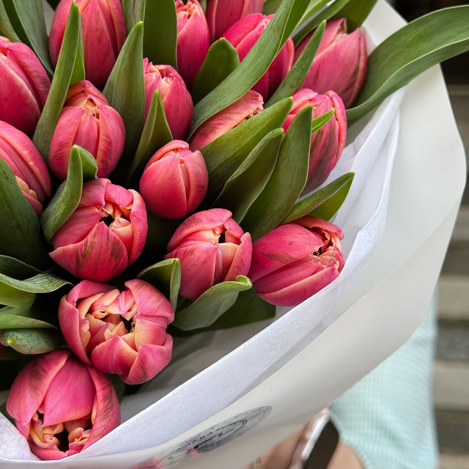 Bouquet 25 tulips Columbus