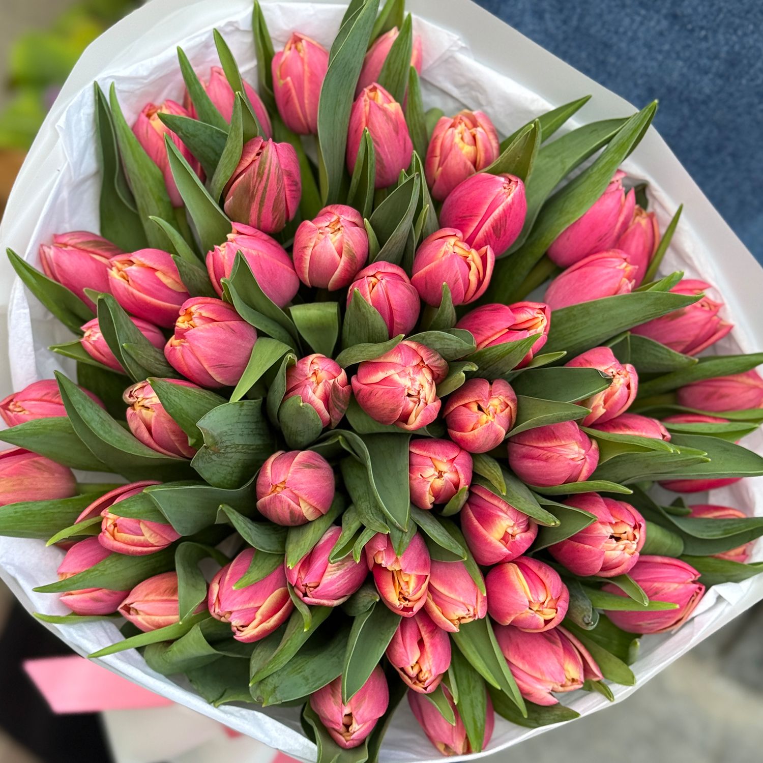 Bouquet 51 tulips Columbus