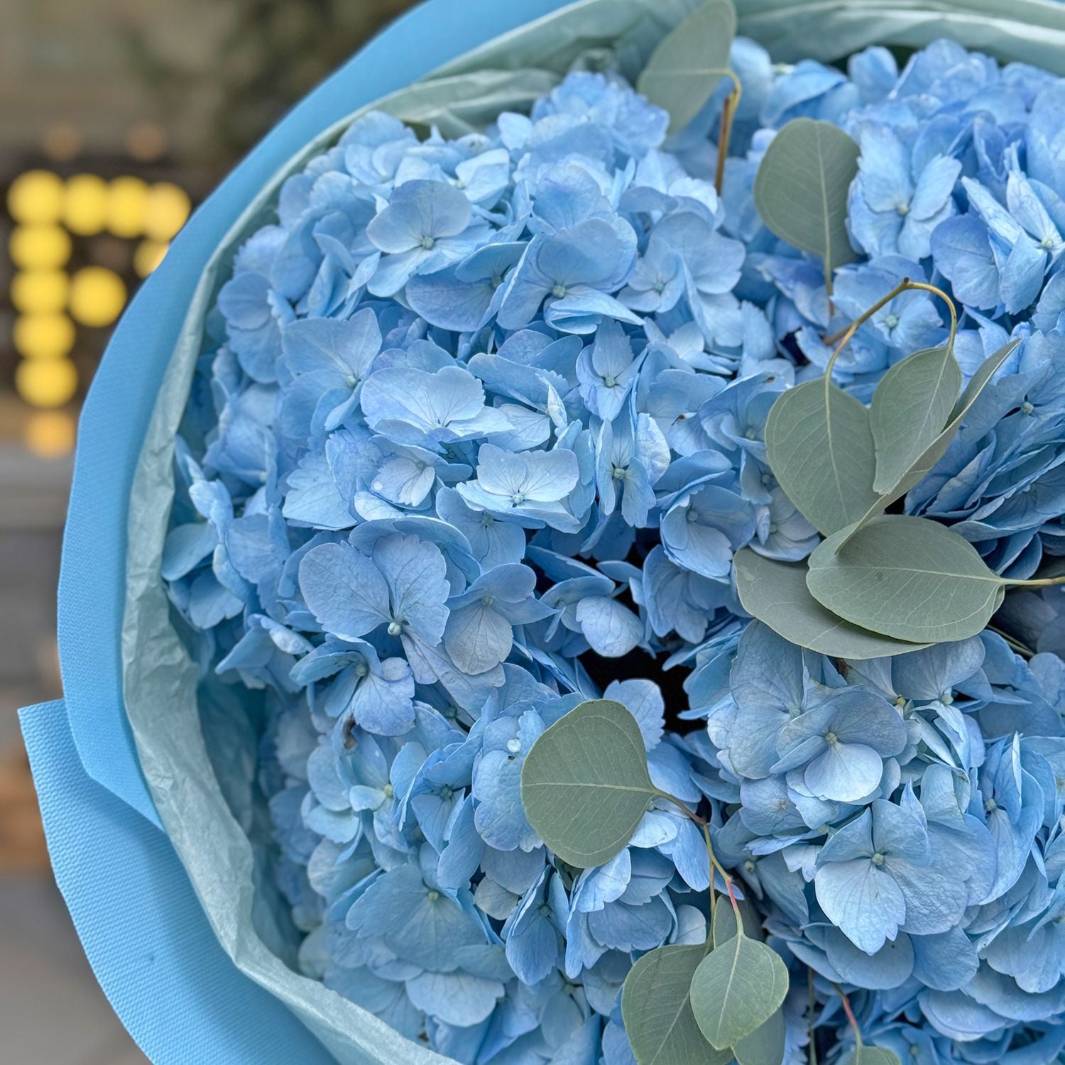 Bouquet Bouquet 5 blue hydrangeas