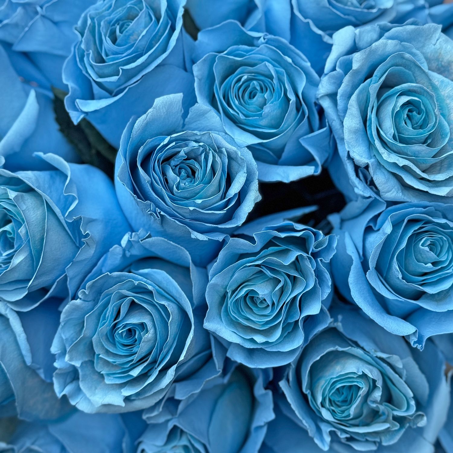 Bouquet Blue rose by piece