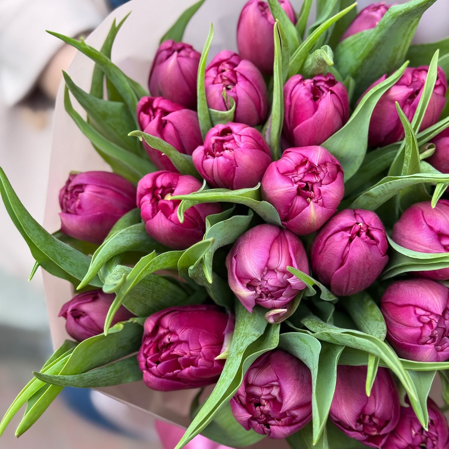 Bouquet 25 peony tulips