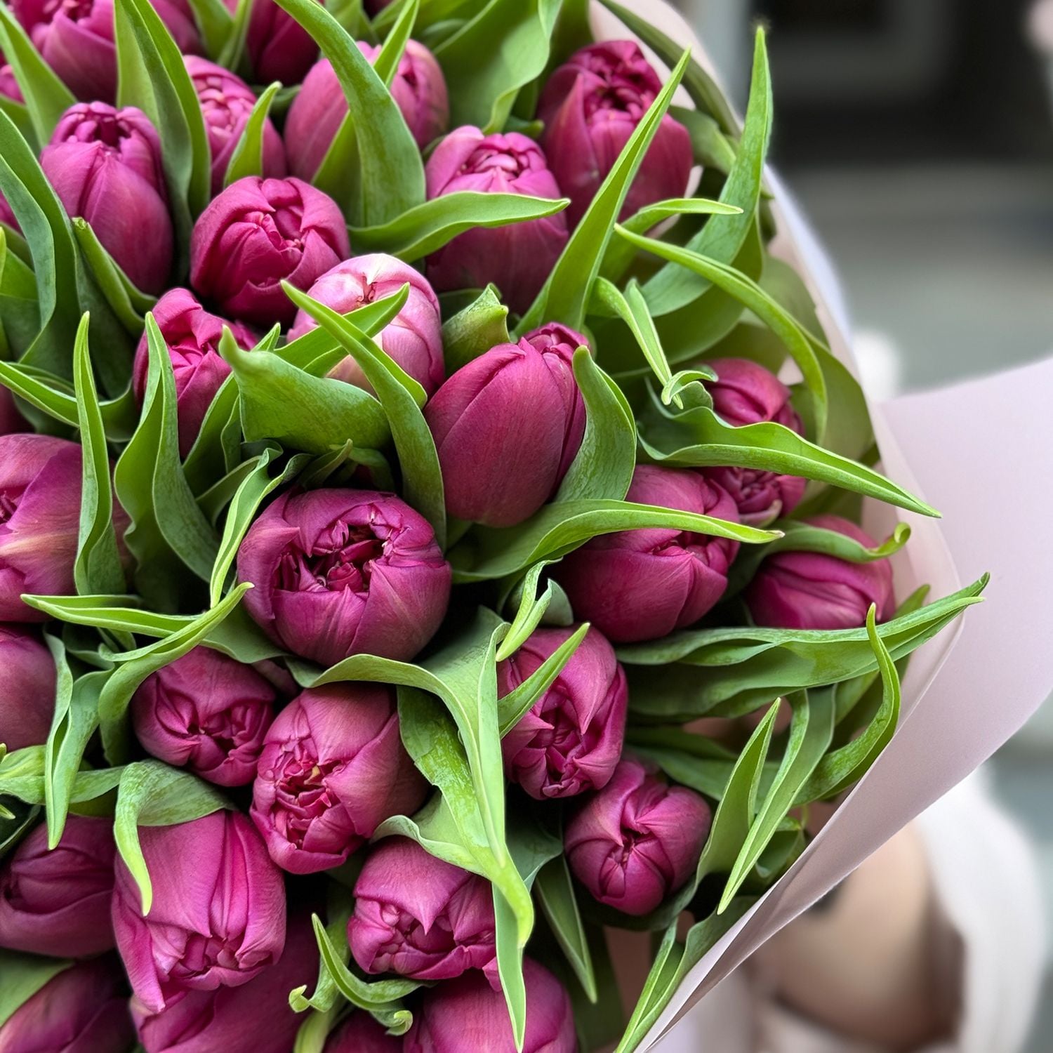 Bouquet 51 peony tulips