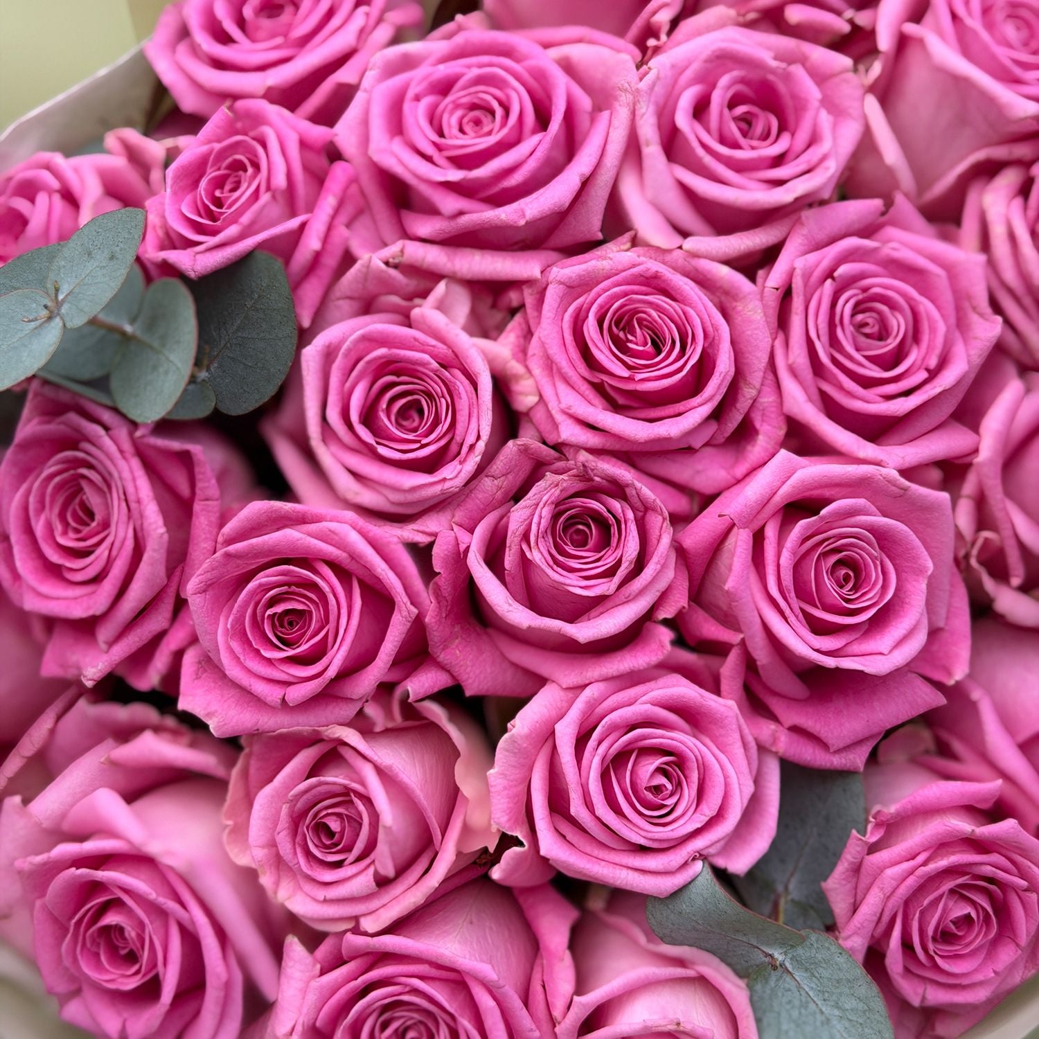 Bouquet Bouquet of 25 pink roses