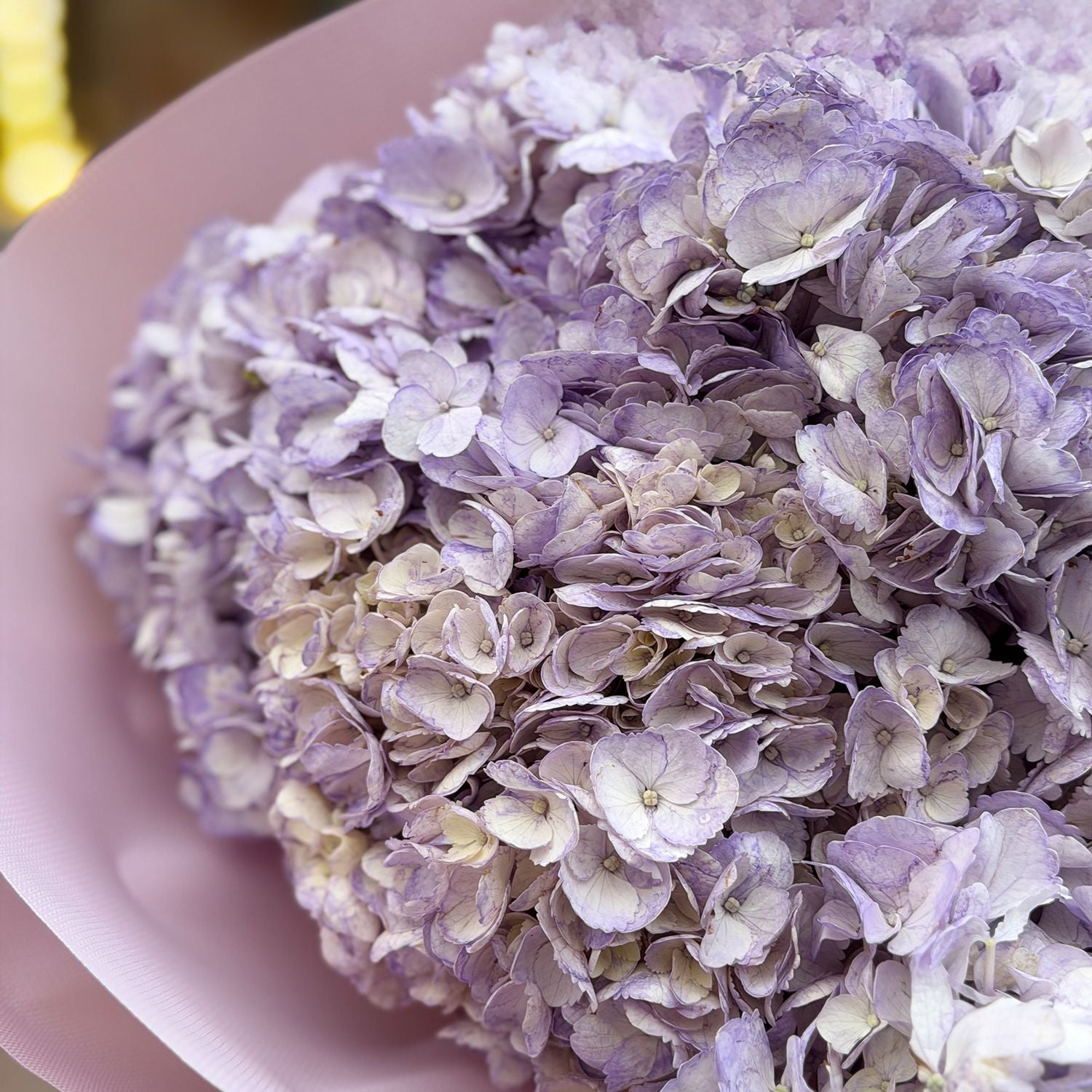 Bouquet Bouquet of 9 lavender hydrangeas
