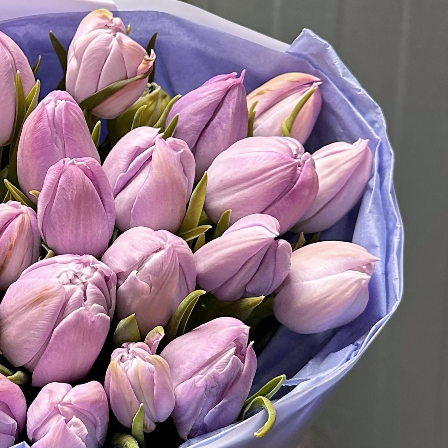 Bouquet 25 lavender tulips