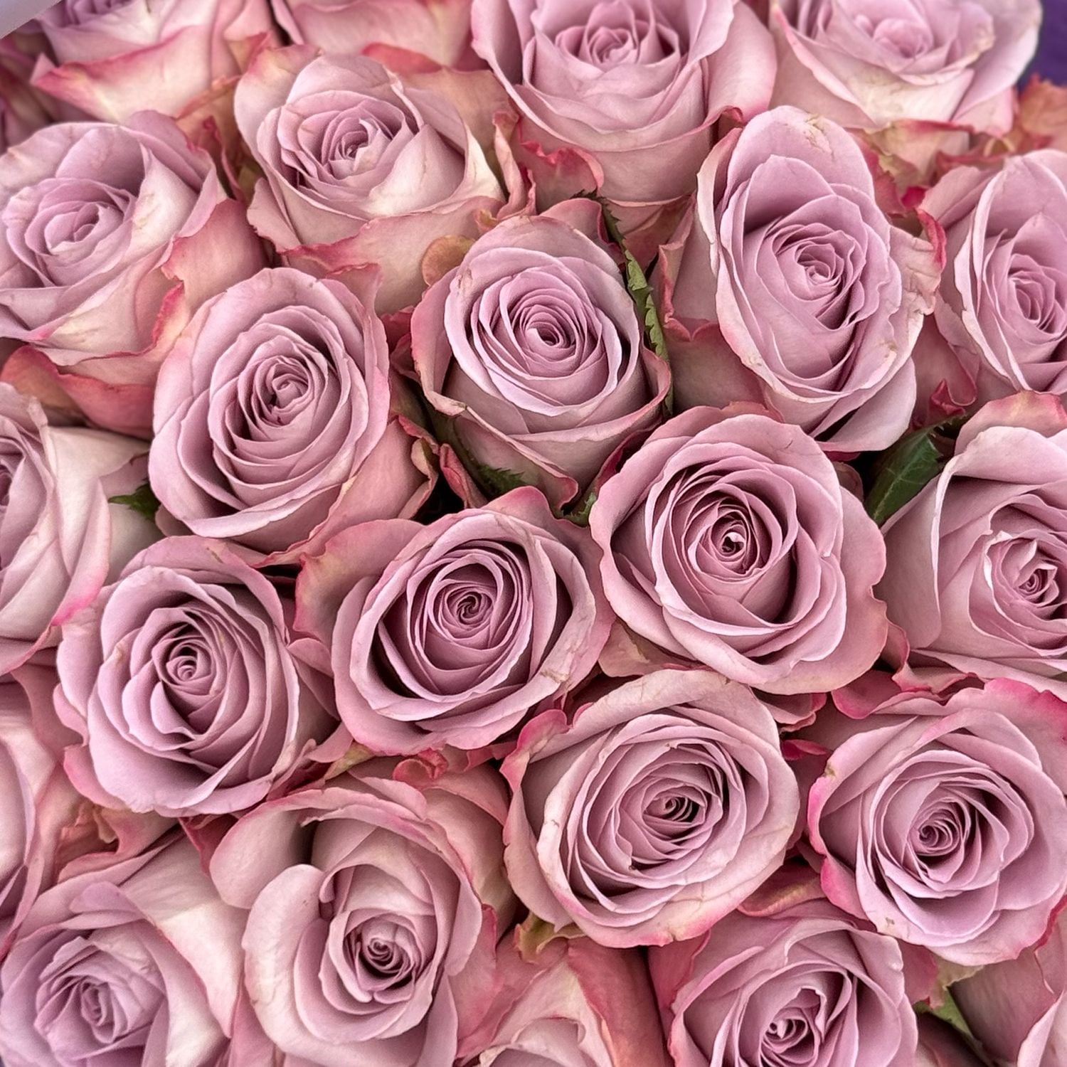 Bouquet Bouquet of 29 roses Memory Lane