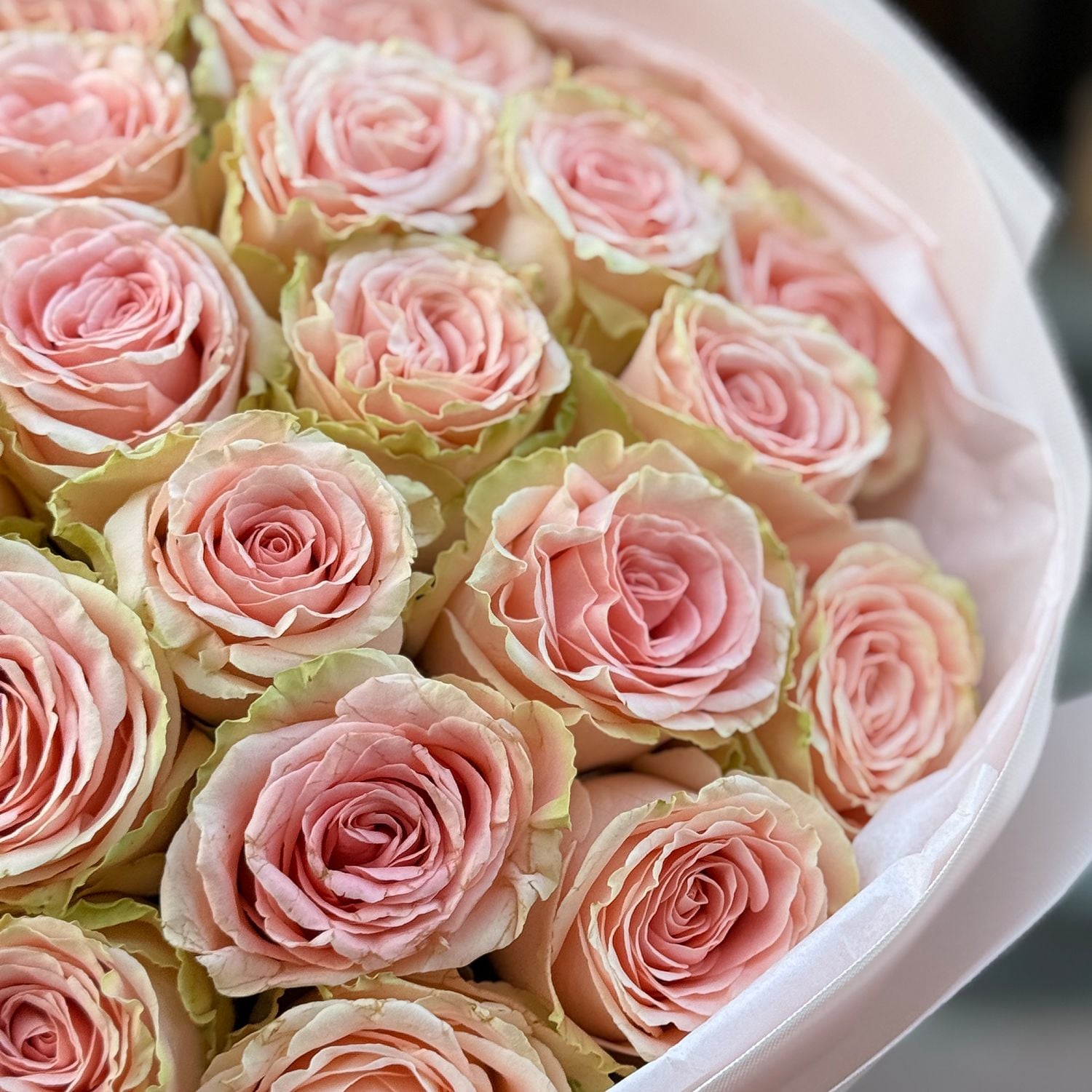Bouquet 25 roses Doris Day