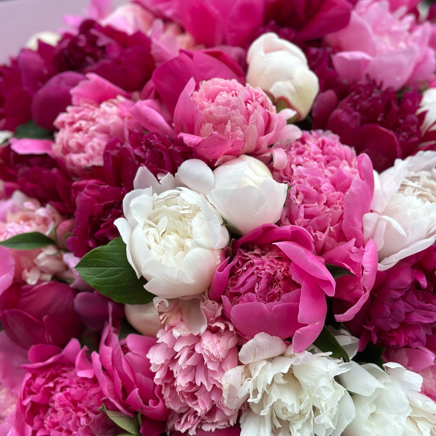 Bouquet 101 peonies mixed