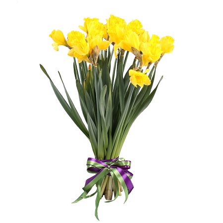 Bouquet 19 daffodils