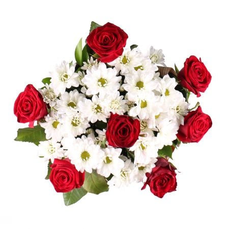 Buy camomile bouquet with delivery