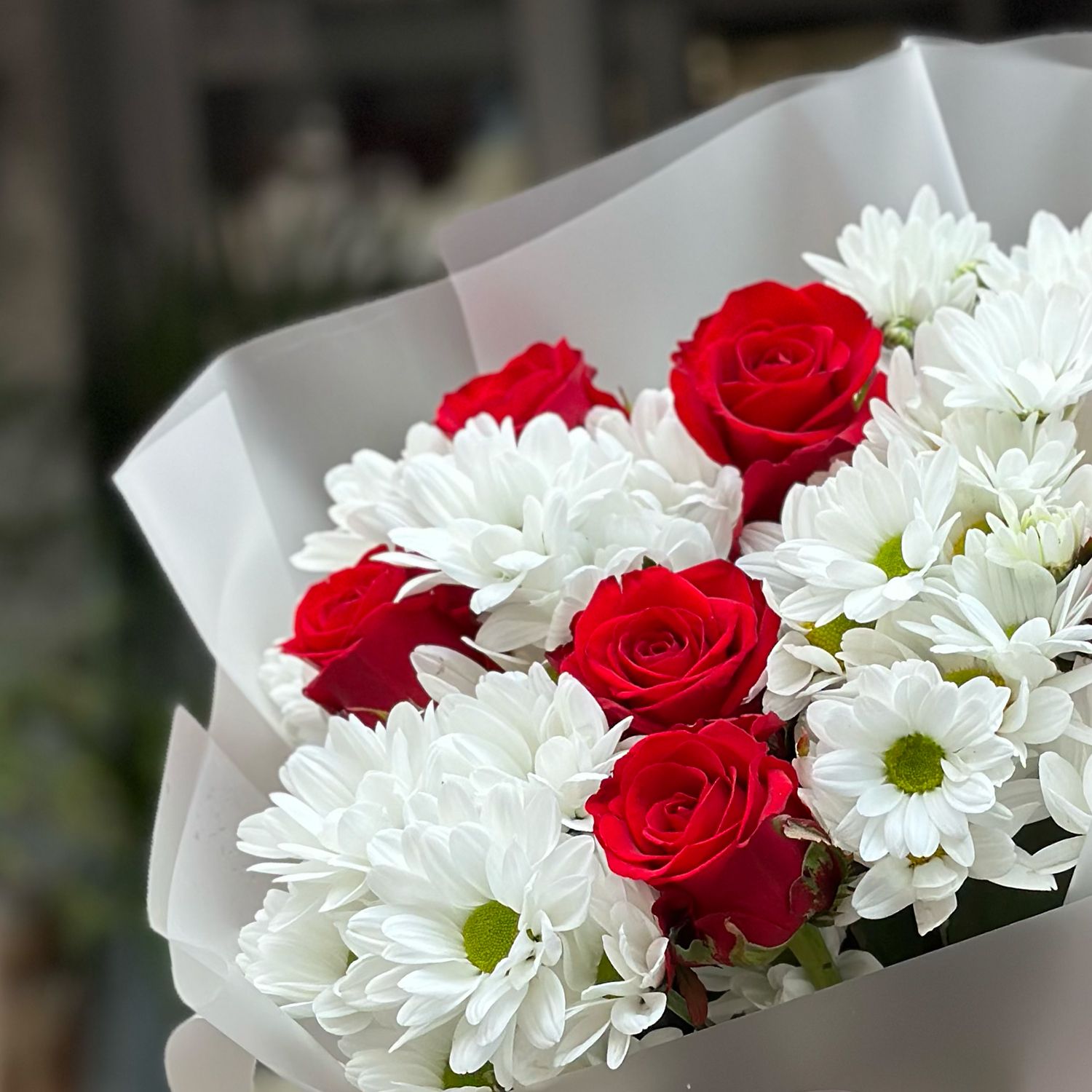 white spray chrysanthemum, red rose (7 pcs.), packaging, ribbon