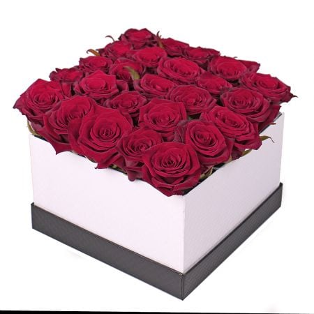 Bouquet 25 roses in a box