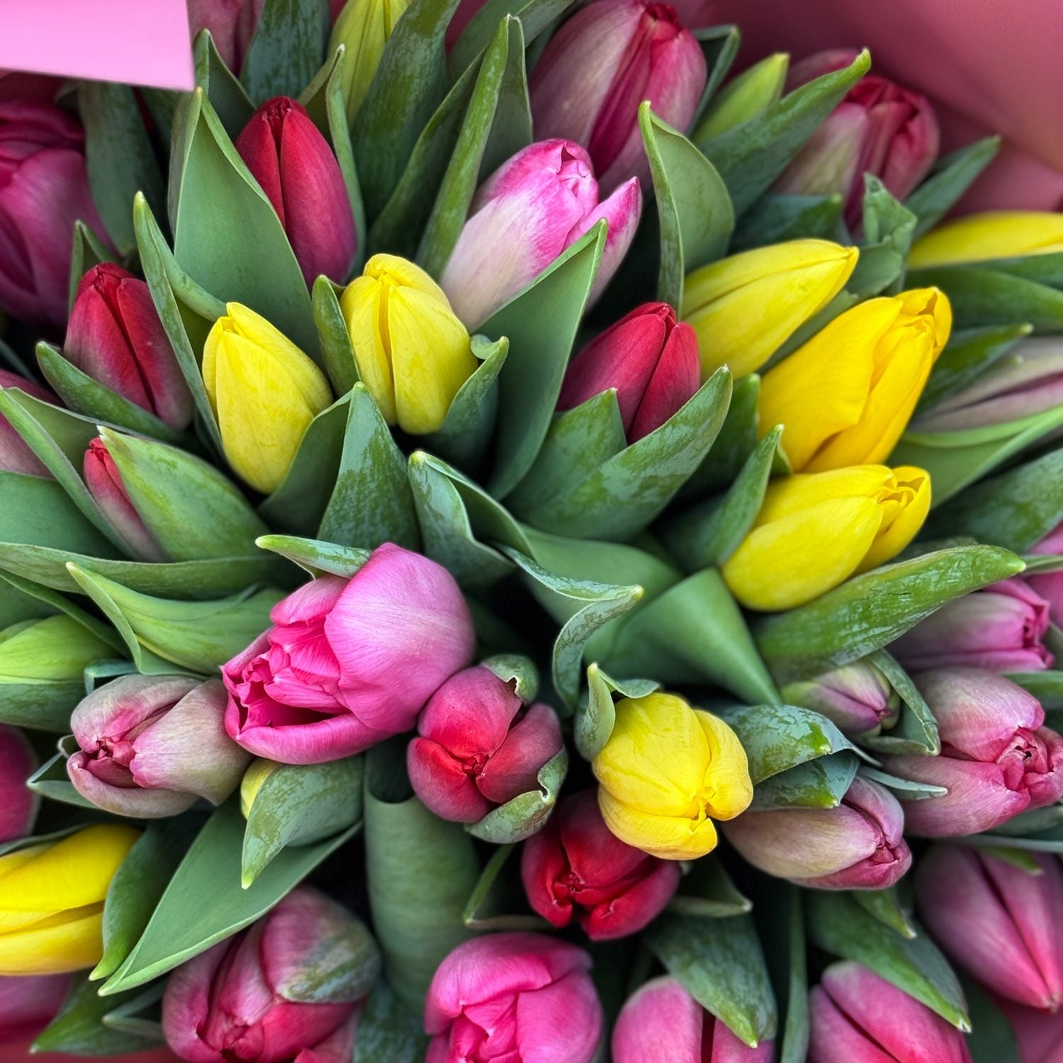 Bouquet Tulips 45 