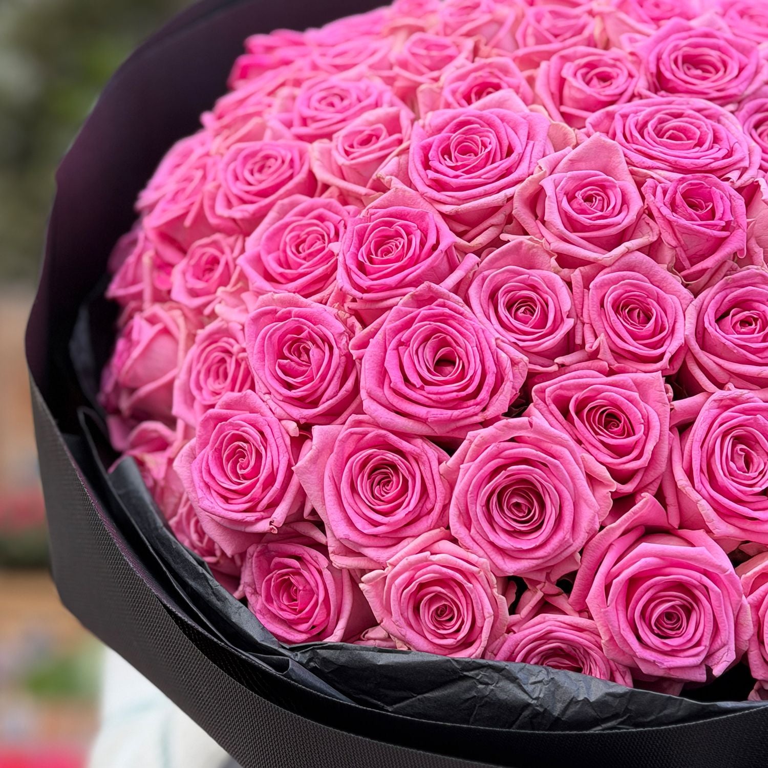 pink rose (101 pcs.), packaging, ribbon