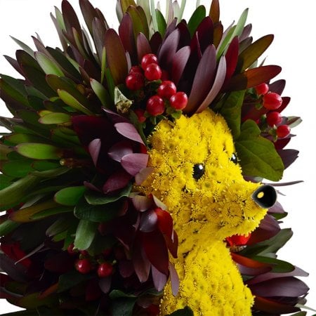 Bouquet Hedgehog in the Fog