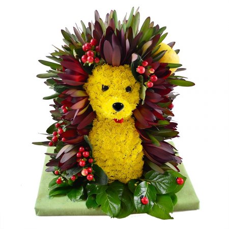 Bouquet Hedgehog in the Fog