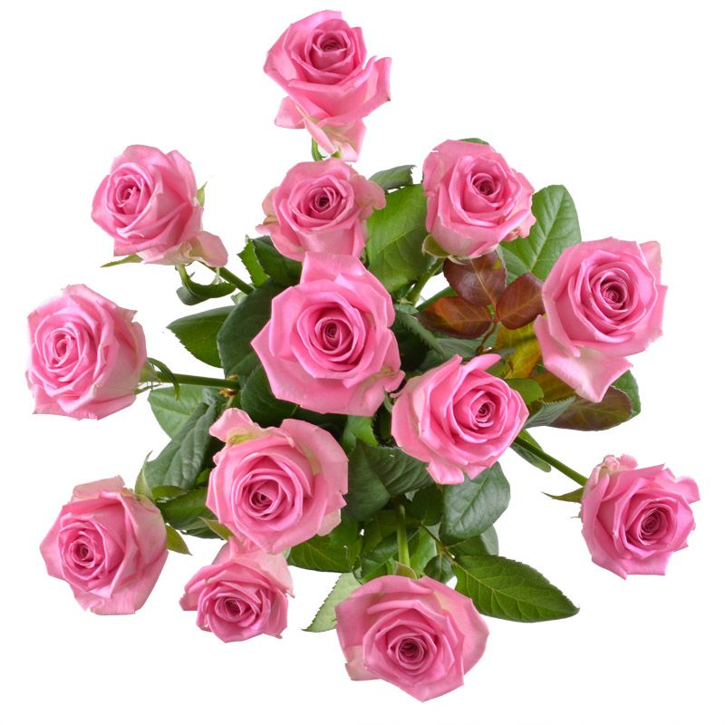 Bouquet Pink roses by the piece