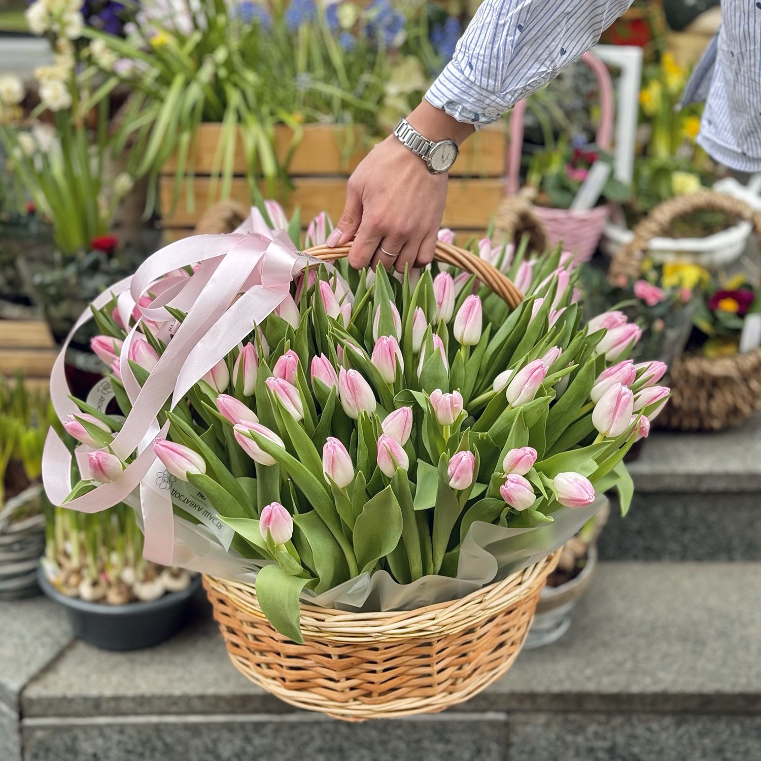 Bouquet 101 tulips in a basket