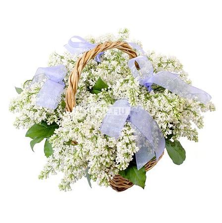 Bouquet White sea