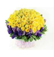 Bouquet solar awakening