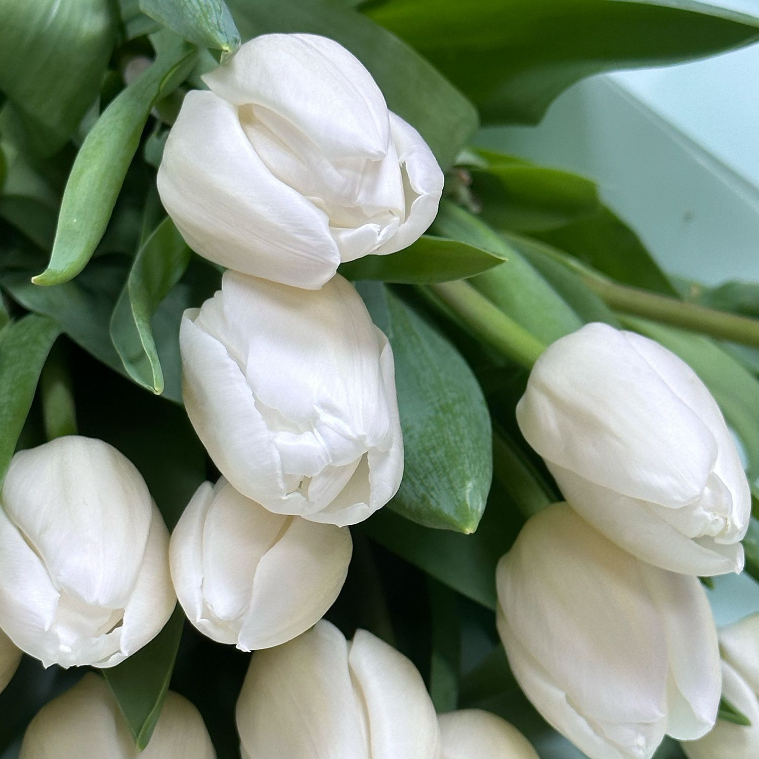 Bouquet Most gentle girl