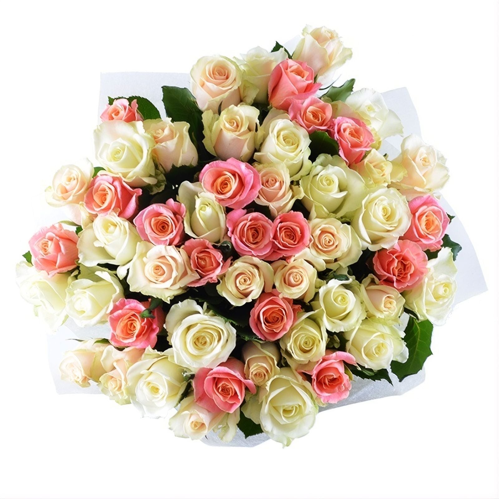 cream rose (17 pcs.), packaging, ribbon