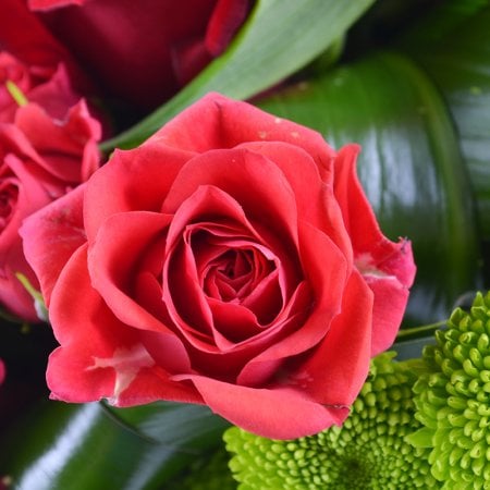 Bouquet Red velvet