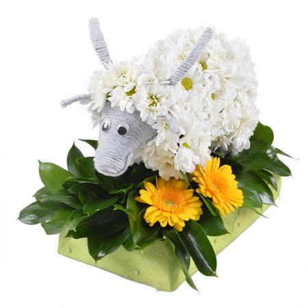 Bouquet Goat