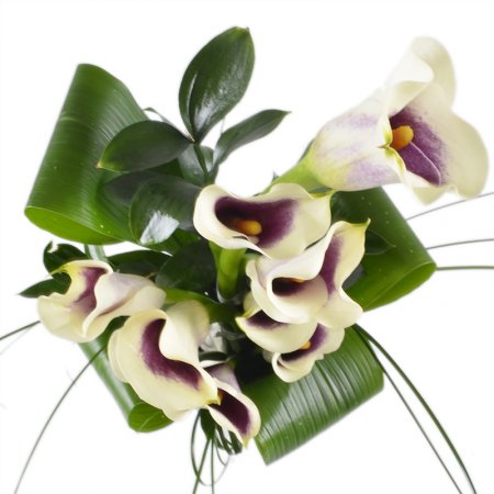 Bouquet Callas