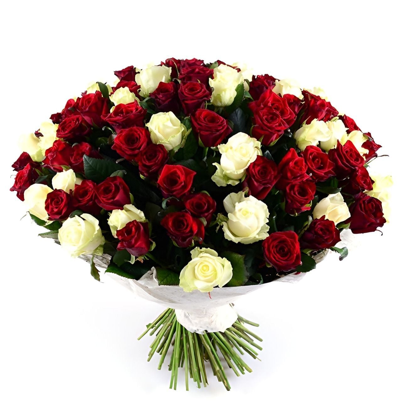 white rose (45 pcs.), packaging, ribbon; red rose (56 pcs.), packaging, ribbon