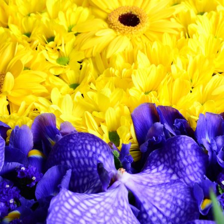 Order a bouquet «Flag of Ukraine» with delivery