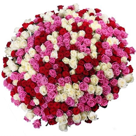 Bouquet Mix of 301 rose