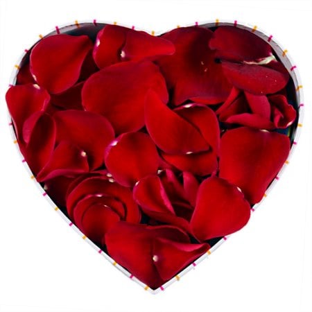 Order rose petals in a box in our online shop. Delivery!