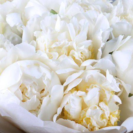 Bouquet White peonies