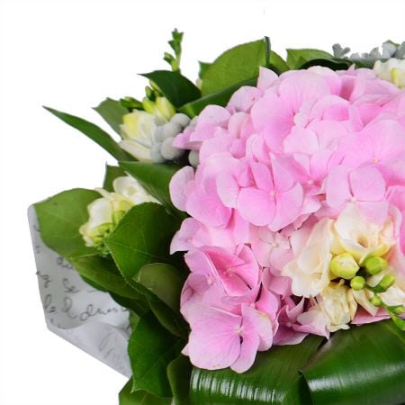 Elegant bouquet with delivery, bouquet made from pink hydrangea and white freesia.