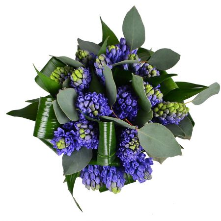 Buy bouquet of hyacinths and green with delivery