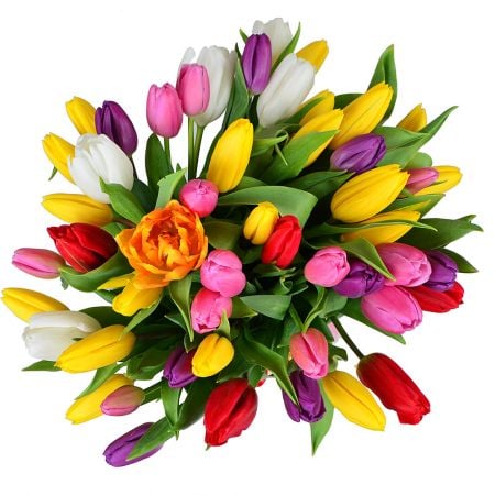 Buy 51 colorful tulip  with delivery