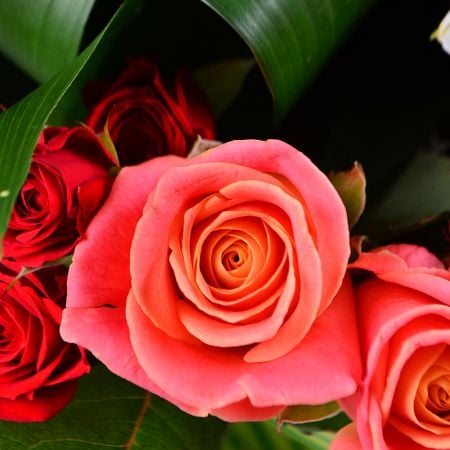 Order a beautiful bouquet for Name-Day